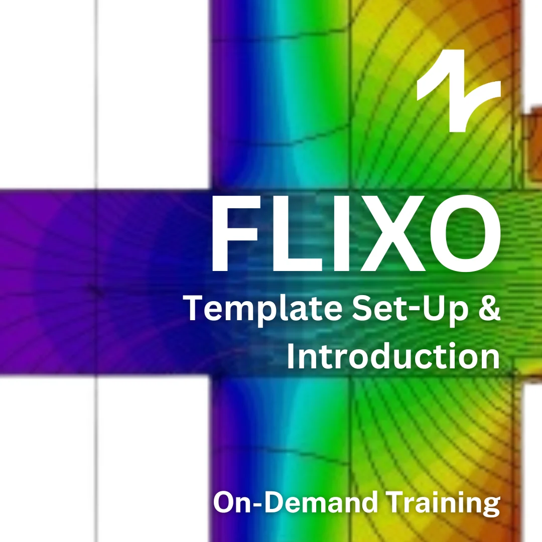 FLIXO: Template Setup and Introduction - On-Demand
